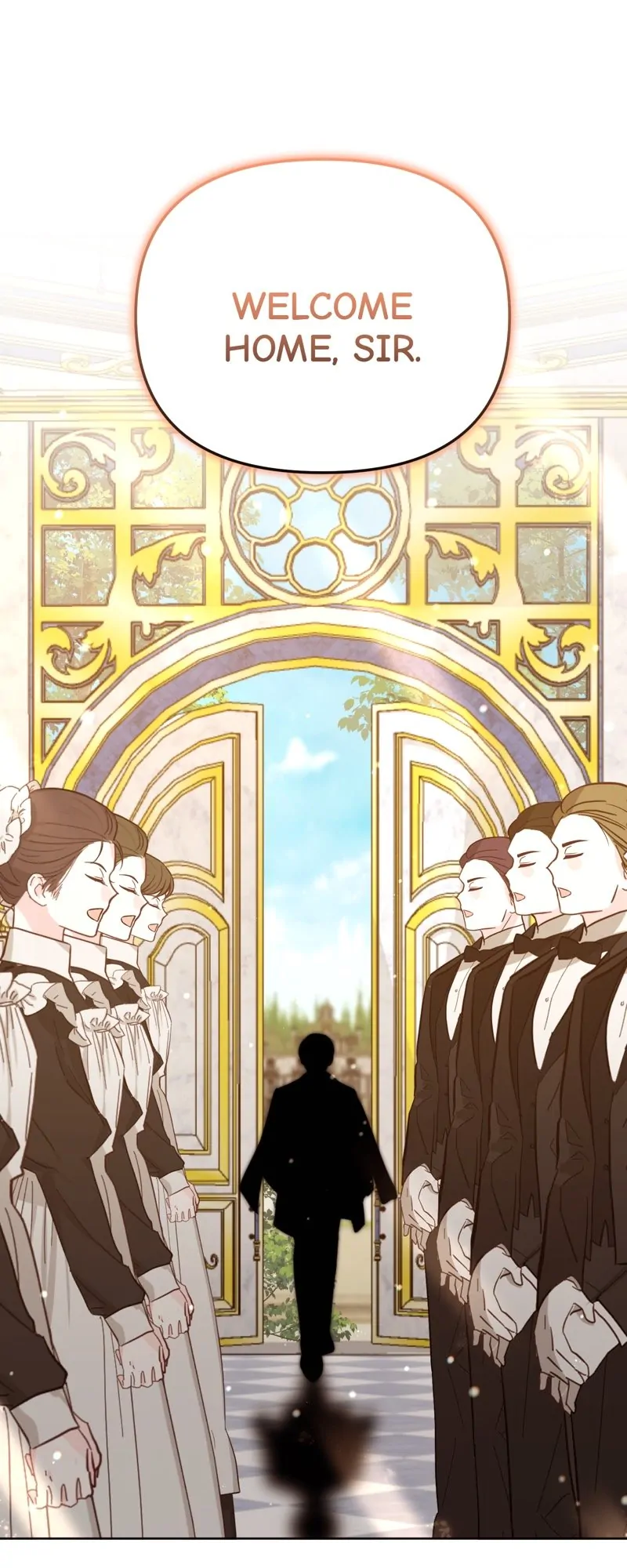 49428162 800 2000 118336