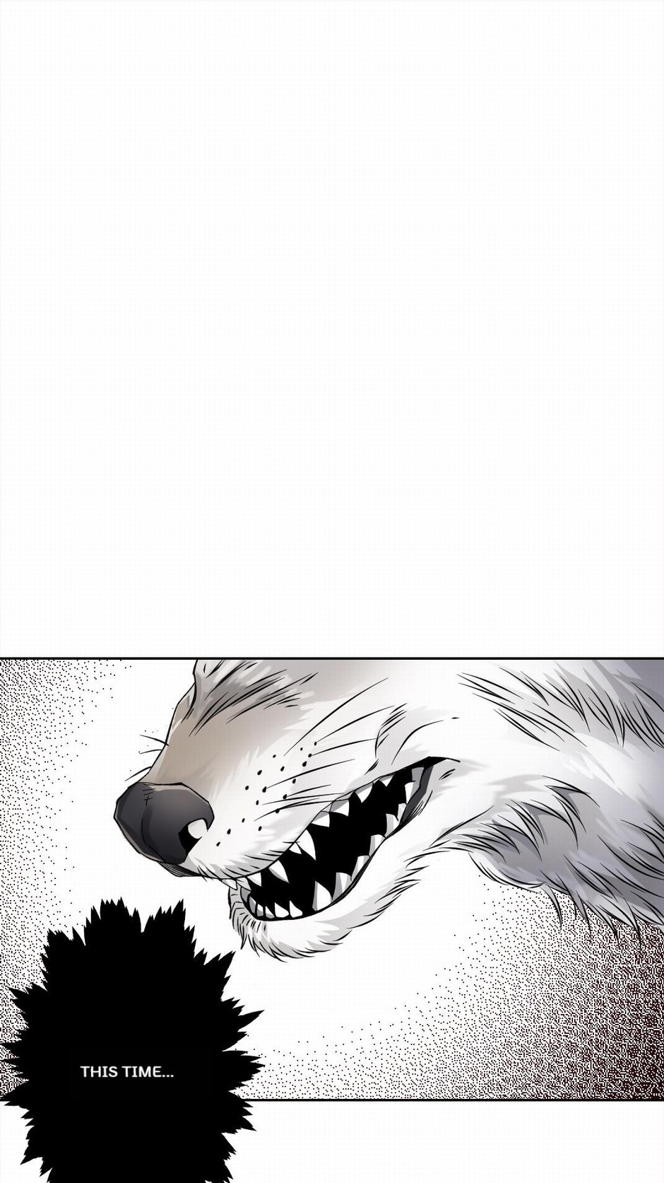 63625595 940 1673 309803