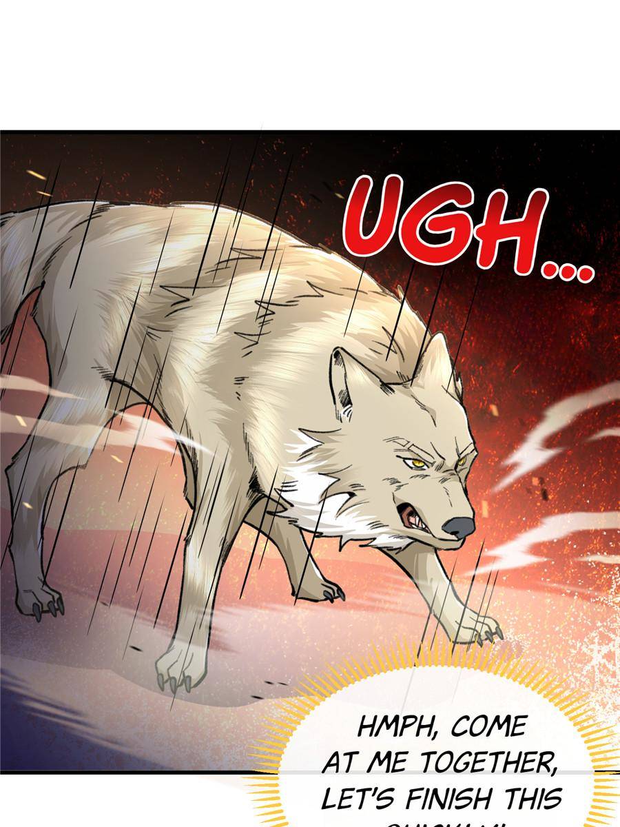 80204626 900 1200 139060